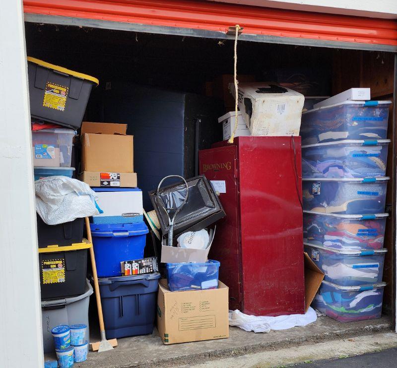 San Jose Storage Auction SCORE! High End Video / Audio McINTOSH, Silver