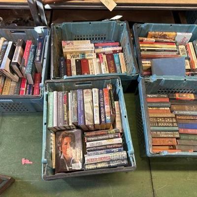 #6538 â€¢ 5 Totes of Books
