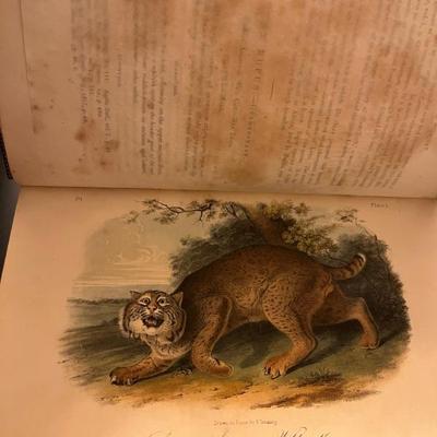 THE QUADRUPEDS OF NORTH AMERICAâ€¨John James Audubon and John Bachman, New York, 1852-1854â€¨3 volumes, 155 hand-colored lithographed...