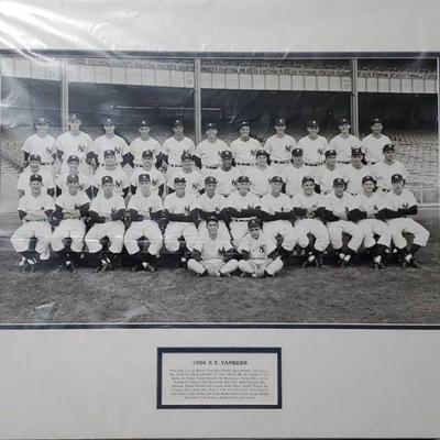 1956 New York Yankees Photo - Excellent Conditon