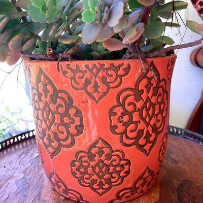 HTH077 Orange Ceramic Vase With Live Plant