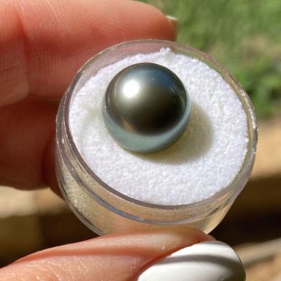 HTH147 Large Genuine Tahitian Black Pearl