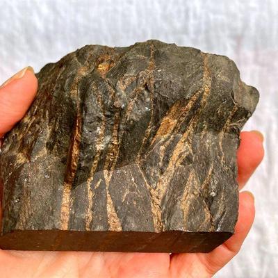 HTH051 Fossilized / Petrified Bat Guano