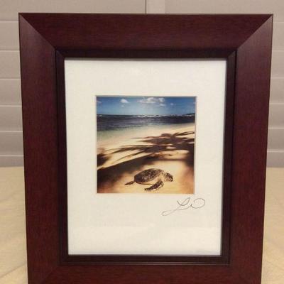 IFT030 Framed Art Photography Of A Honu Sea Turtle