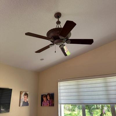 ceiling fan $50