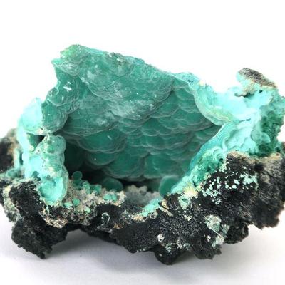 https://www.liveauctioneers.com/auctioneer/4859/scollard-auctions/
