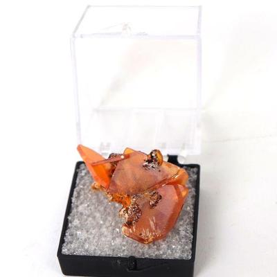 https://www.liveauctioneers.com/auctioneer/4859/scollard-auctions/