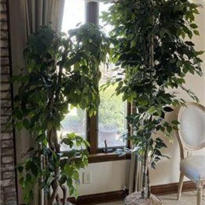 Lot 075  
Pair of Faux Ficus Trees