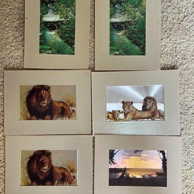 AHT233- Assorted Vintage High Gloss Holographic Prints