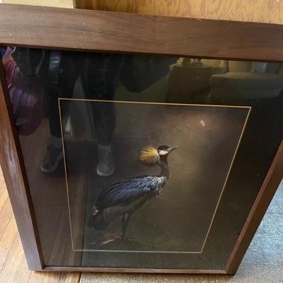 Large framed art
