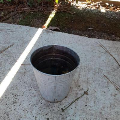 Silver bucket planter