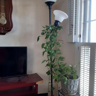 Black Iron plant stand and plant