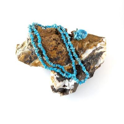 Turquoise Necklace & Turquoise Accent Ring
