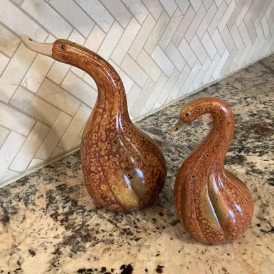Duck Gourds
