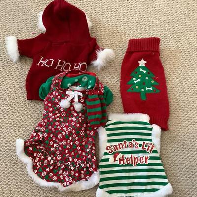 Dog outfits and costumes