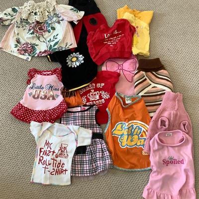 More and more dog outfits and costumes