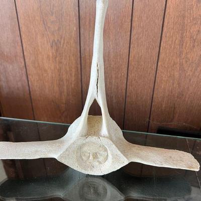 Newfoundland Carved Whalebone Vertebra Art