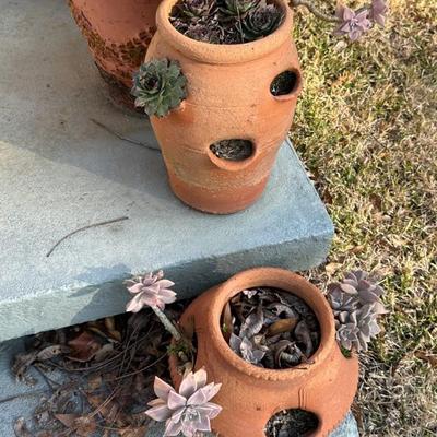 Strawberry jar planters