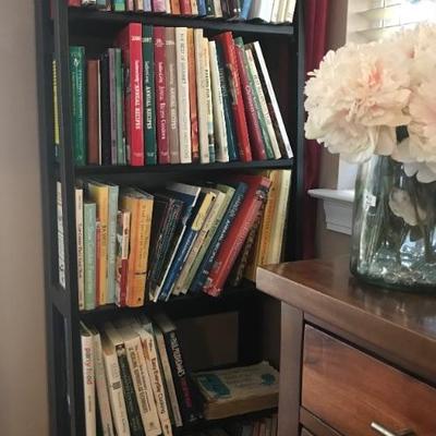 bookshelf $30
23 1/2 X 12 X 60"