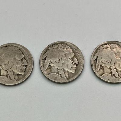 (3) Antique Buffalo Nickel Coins
