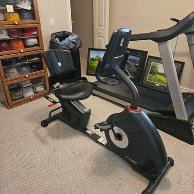 Schwinn Recumbent Bike