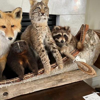 "Noah's Ark" is the title, and yes, we spoke to Fish & Wildlife. We may sell.