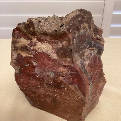 MSS223 Large Petrified Wood Specimen 