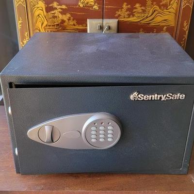 #2940 â€¢ Sentry Safe
