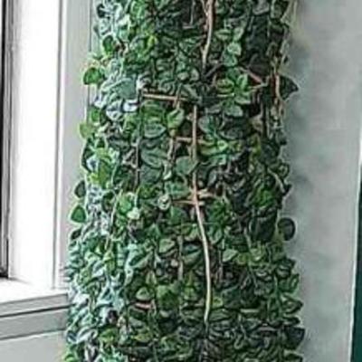 Artificial Topiary Potted In A Faux Pillar