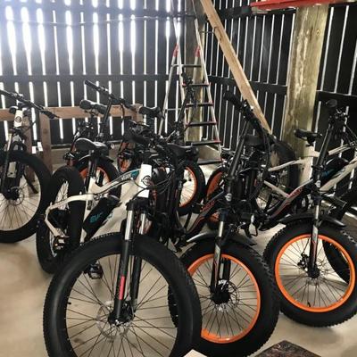 New electric bikes