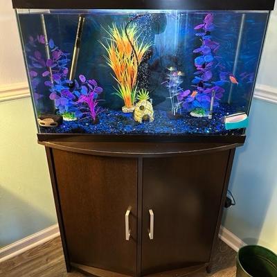 Fish Tank With Fish & All Accessories GREAT BUNDLE DEAL