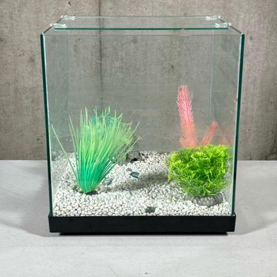 GLASS AQUARIUM TERRARIUM | Square glass aquarium/terrarium with gravel & fake plants NO PLUG