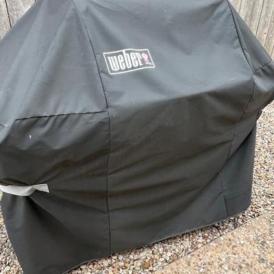 Weber Grill