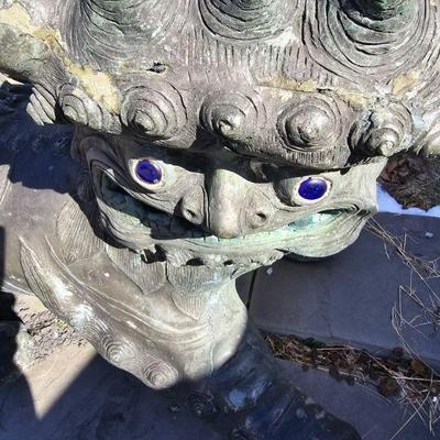 Blue eyed foo dog big & heavy