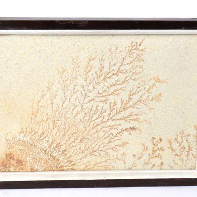 Dendrite Limestone Landscape, Framed