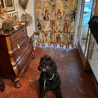 Dog not for sale, family member.