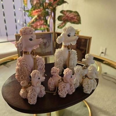 Pink poodles is sold