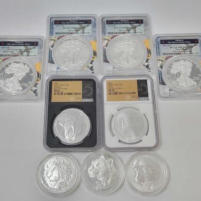 #552 • (9) Silver Coins
