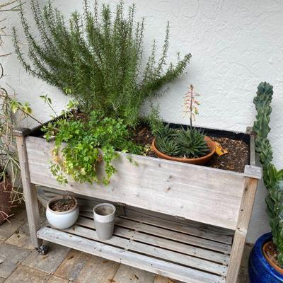 rosemary and parsley included