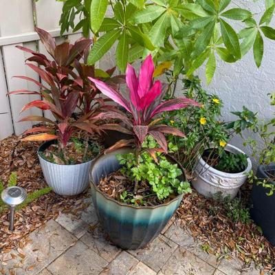 30+ pots