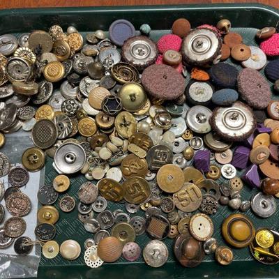 Button Lot - Some from 1850's