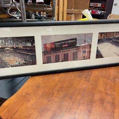 Boston Garden Framed Print