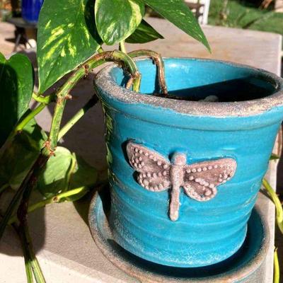 HGS197 Blue Dragonfly Pot With Hanging Plant