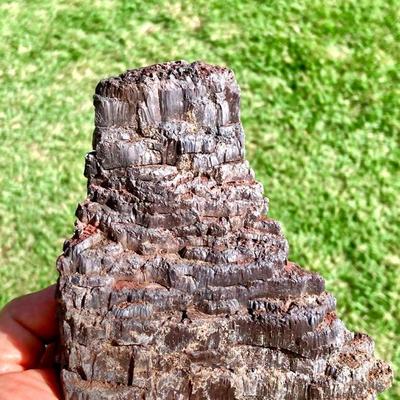HGS105 Fossilized Bat Guano