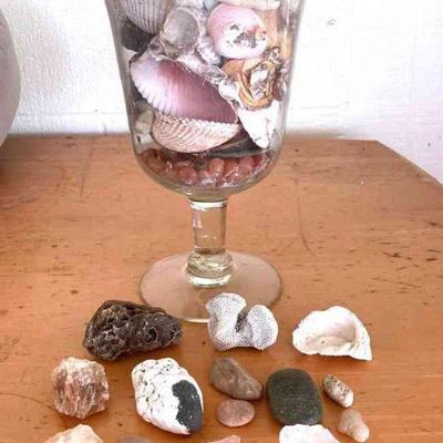 HGS121 More Crystals, Coral And Shells