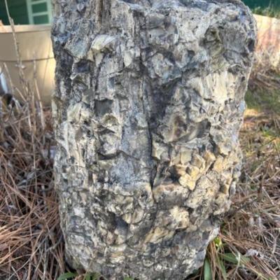 Petrified Wood Stump