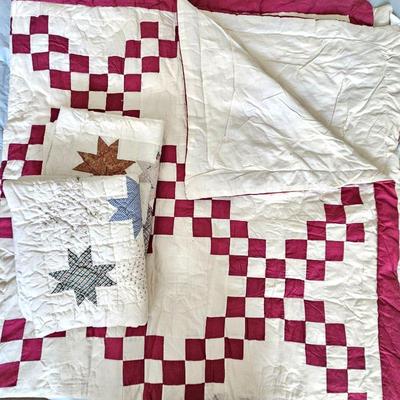 Set of One Cotton Queen/King Quilt and Two Quilt Standard Pillow Shams