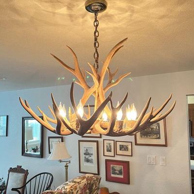 Real Antler Chandelier with 8 lights - 30
