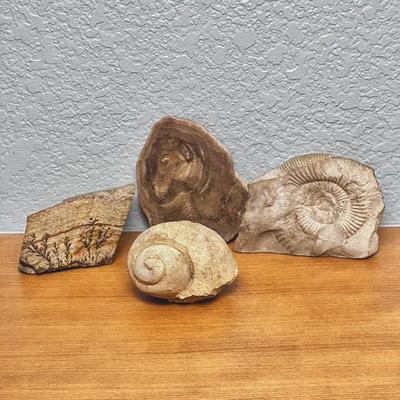 Assorted Fossil Collection Natural Specimens including Gastropods, Ammonites, Petrified Wood, and Dendrite