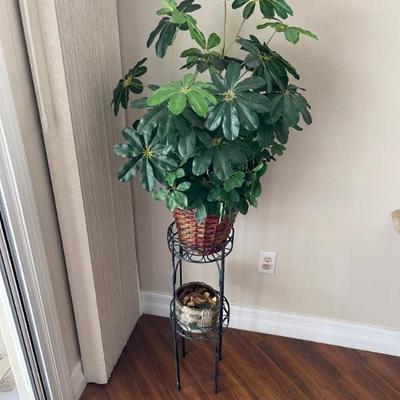 plant sold